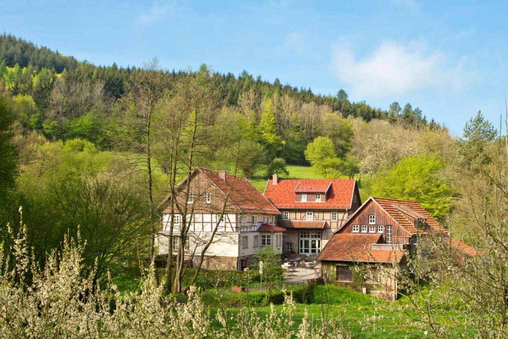 Romantik Hotel Landhaus Baerenmuehle Frankenau ภายนอก รูปภาพ